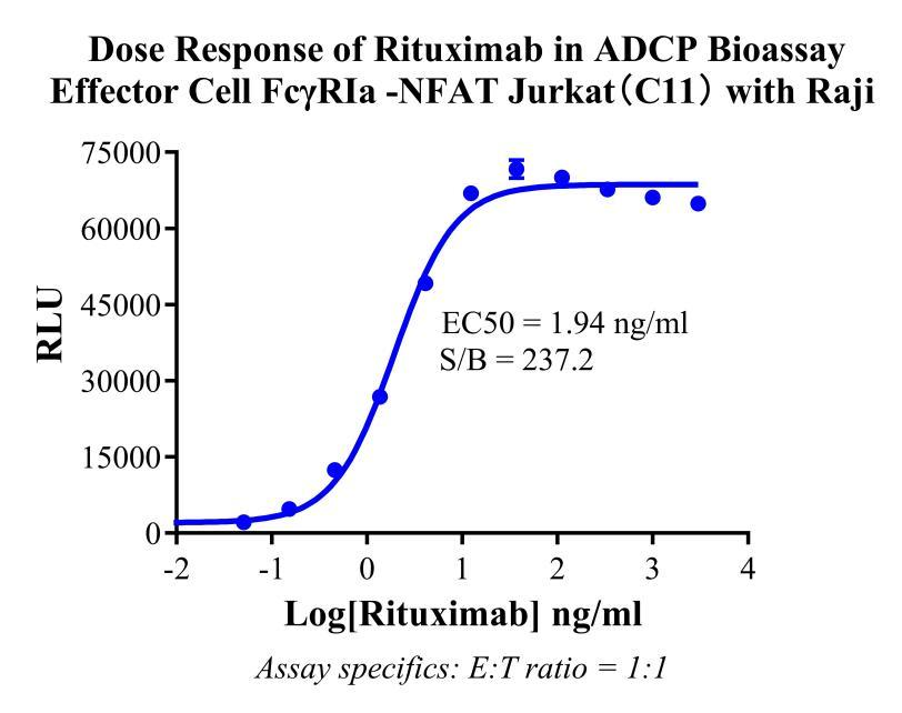 Jurkat E6.1 Human ADCP Bioassay Effector Cell FcγRIa -NFAT