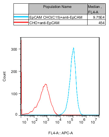 CHO-K1 Human EрCAM Cell