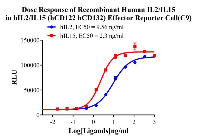 Jurkat E6.1 Human IL2/IL15 Dual Effector(hCD122/hCD132) Reporter Cell