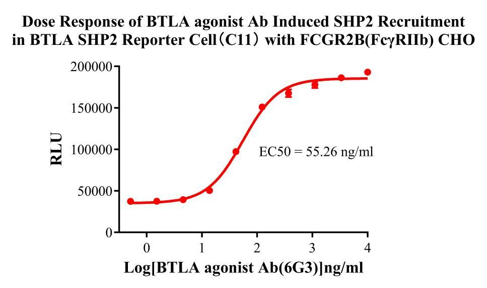 Jurkat E6.1 Human BTLA/SHP2 Reporter Cell