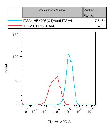 HEK293 Human ITGA4 Cell