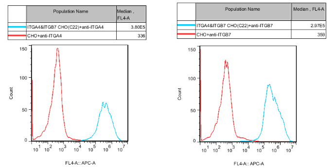 CHO-K1 Human ITGA4&ITGB7 Cell