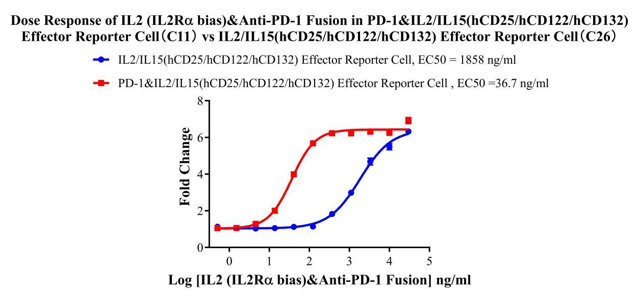 Jurkat E6.1 Human PD-1(High Expression)&IL2/IL15(hCD25/hCD122/hCD132) Effector Reporter Cell