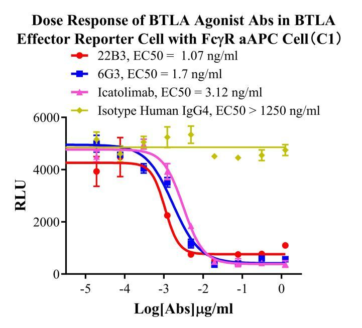 Jurkat E6.1 Human BTLA Effector Reporter Cell