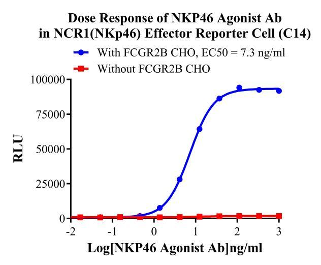 Jurkat E6.1 Human NCR1(NKp46) Effector Reporter Cell