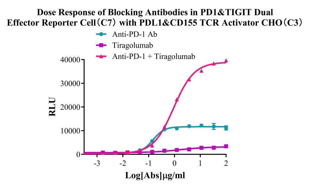 Jurkat E6.1 Human PD1&TIGIT Dual Effector Reporter Cell