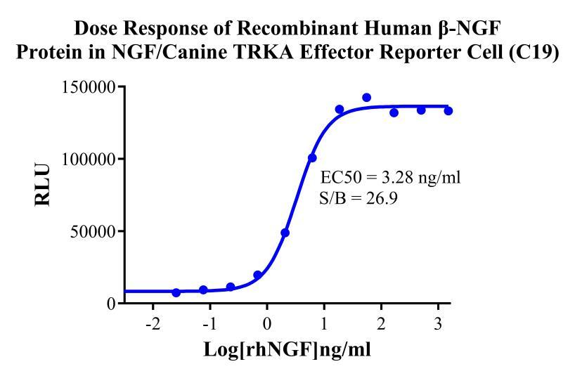 HEK293 Human NGF/Canine TRKA Effector Reporter Cell