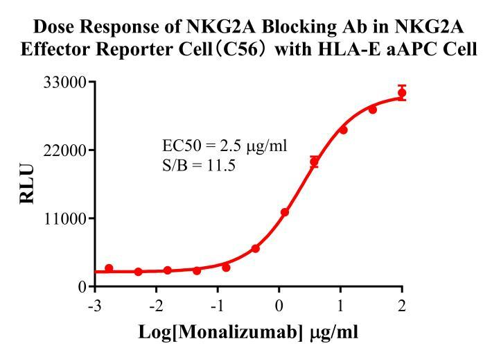 Jurkat E6.1 Human NKG2A Effector Reporter Cell