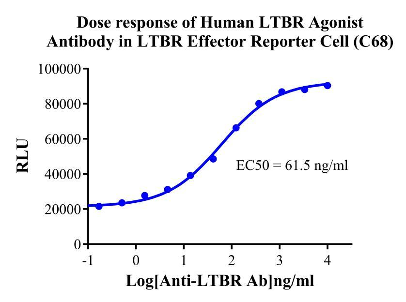 Jurkat E6.1 Human LTBR Effector Reporter Cell