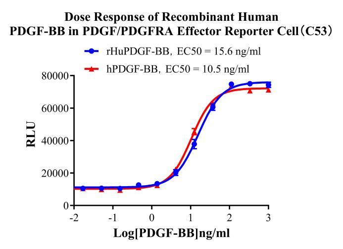 HEK293 Human PDGF/PDGFRA Effector Reporter Cell