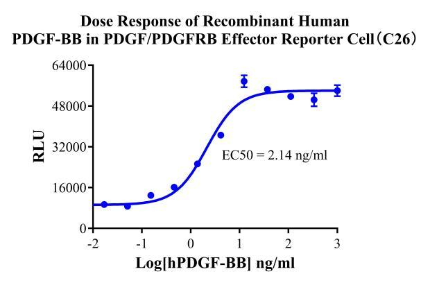HEK293 Human PDGF/PDGFRB Effector Reporter Cell