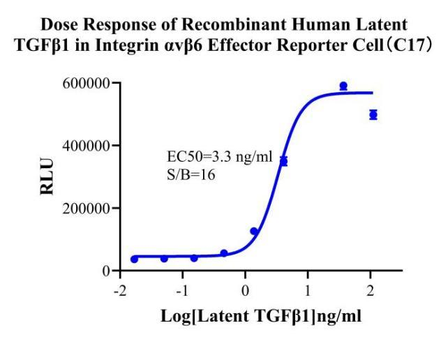 HEK293 Human Integrin avβ6 Effector Reporter Cell