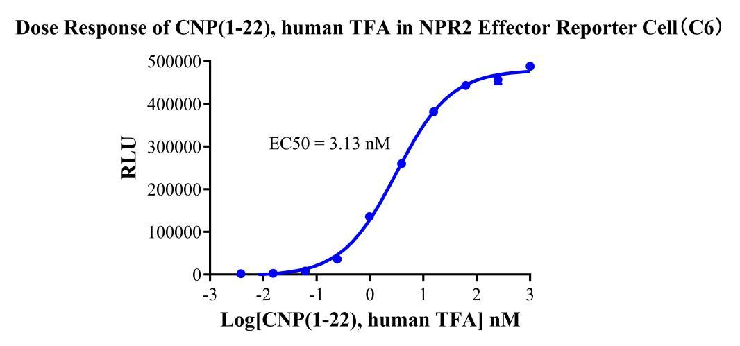 HEK293 Human NPR2 Effector Reporter Cell