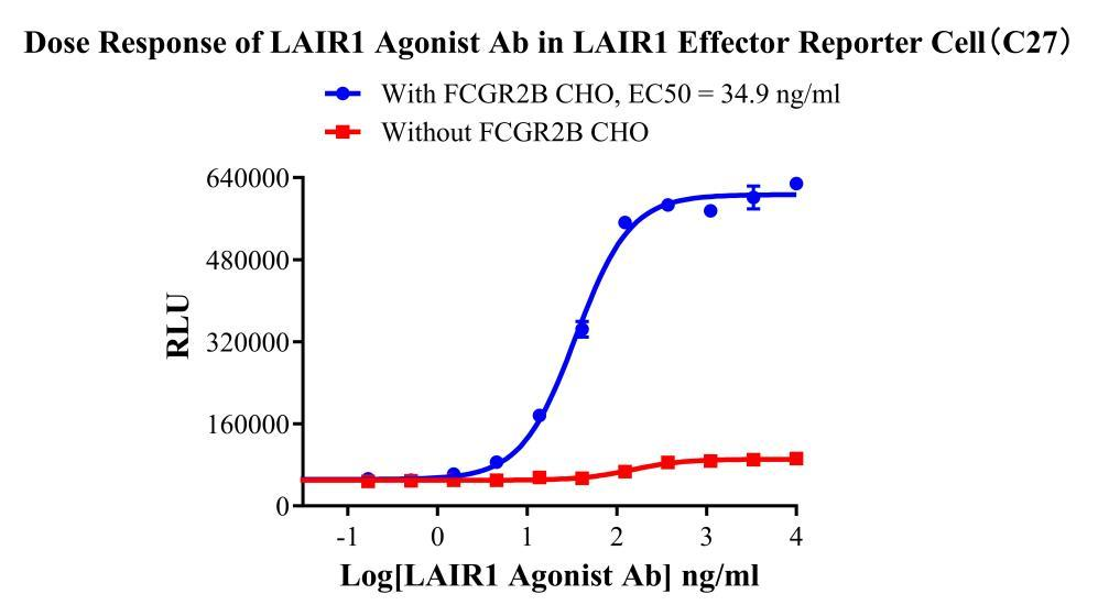Jurkat E6.1 Human LAIR1 Effector Reporter Cell