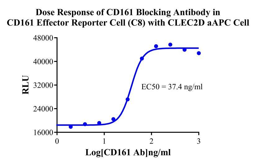 CHO-K1 Human CLEC2D aAPC Cell