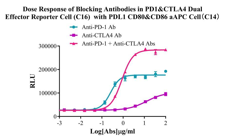 Jurkat E6.1 Human PD1&CTLA4 Dual Effector Reporter Cell