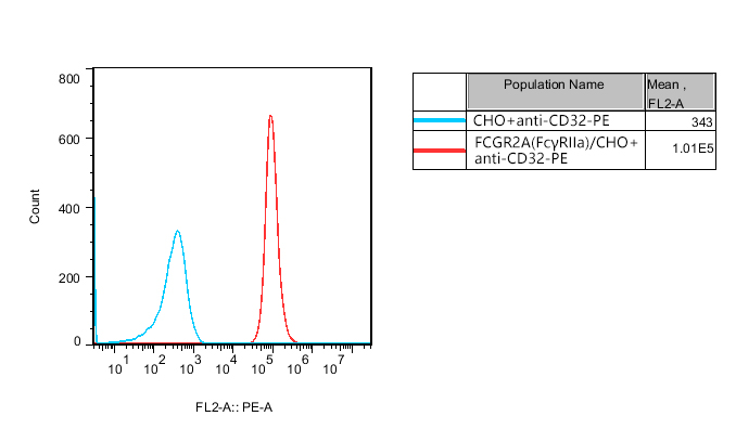 CHO-K1 Human FCGR2A（FcγRIIa） Cell