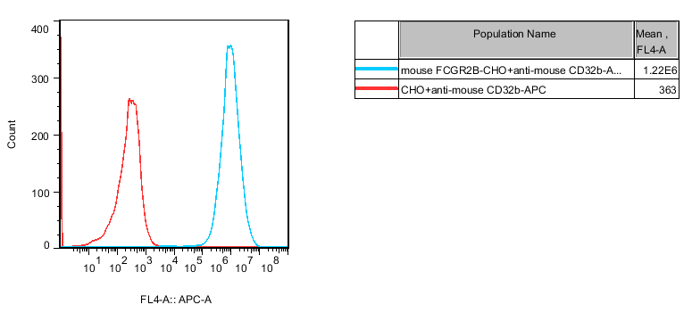 CHO-K1 Mouse FCGR2B Cell