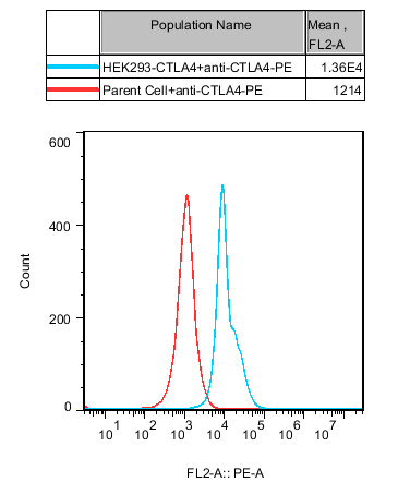 HEK293 Human CTLA4 Cell