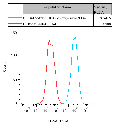 HEK293 Human CTLA4[Y201V] Cell