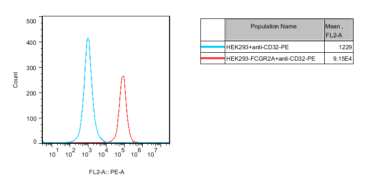 HEK293 Human FCGR2A Cell