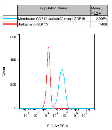 Jurkat E6.1 Human Membrane GDF15 Cell