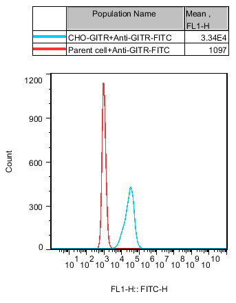 CHO-K1 Human GITR Cell