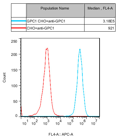 CHO-K1 Human GPC1 Cell