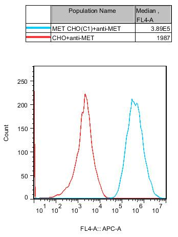 CHO-K1 Human MET Cell