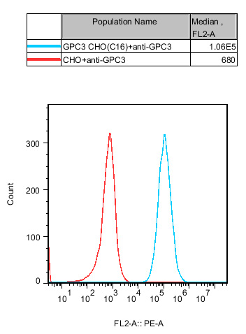 CHO-K1 Human GPC3 Cell