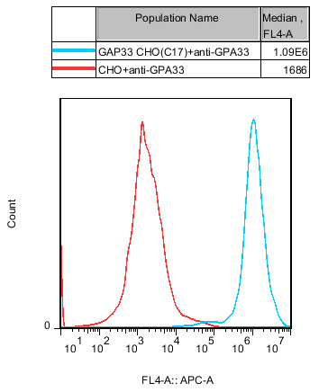 CHO-K1 Human GPA33 Cell
