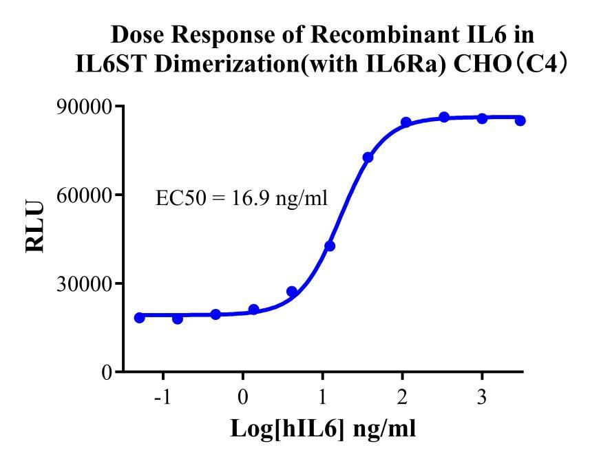 CHO-K1 Human IL6ST Dimerization（with IL6Ra）Cell