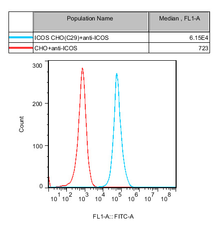 CHO-K1 Human ICOS Cell