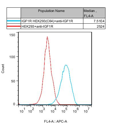 HEK293 Human IGF1R Cell