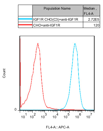 CHO-K1 Human IGF1R Cell