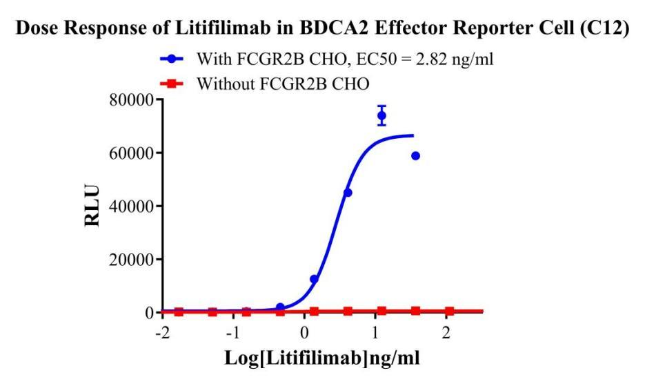 Jurkat E6.1 Human BDCA2 Effector Reporter Cell