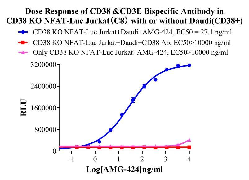 Jurkat E6.1 Human CD38 KO NFAT-Luc Cell