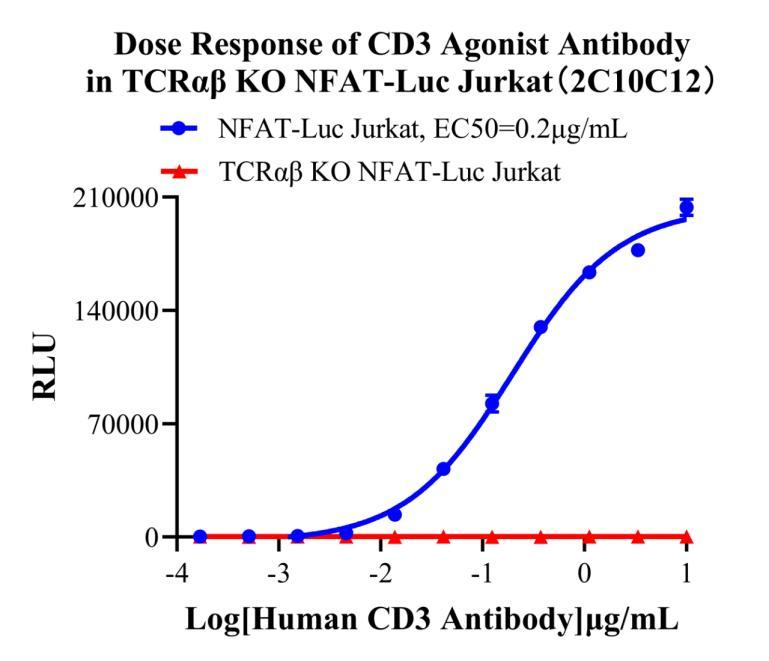 Jurkat E6.1 Human TCRαβ KO NFAT-Luc Cell