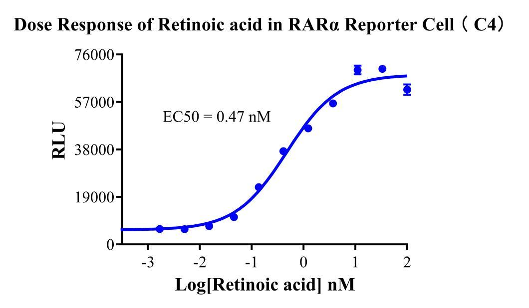 HEK293 Human RARα Reporter Cell