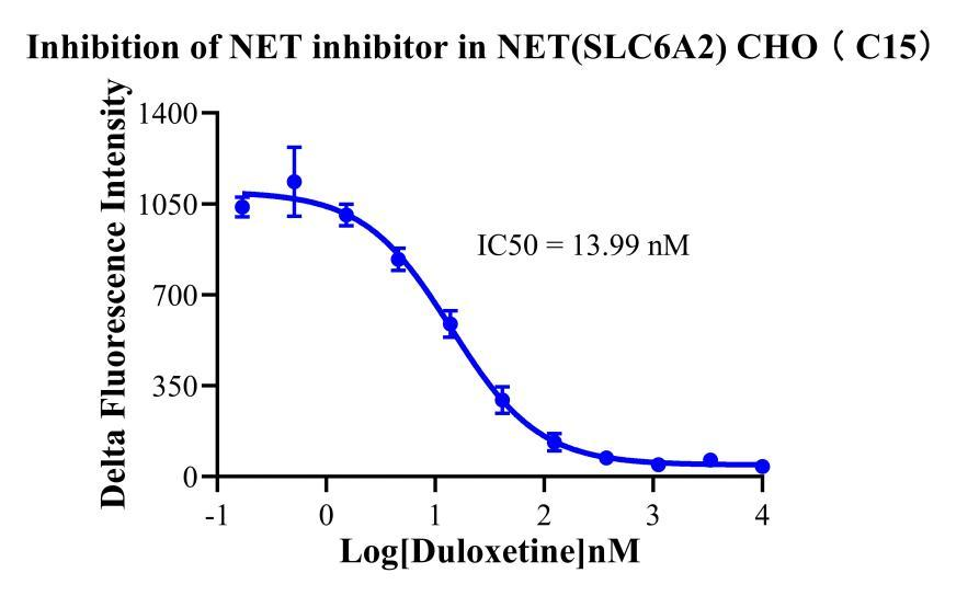 CHO-K1 Human NET(SLC6A2)  Cell