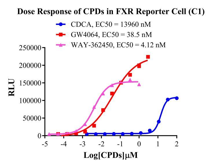 HEK293 Human FXR Reporter Cell