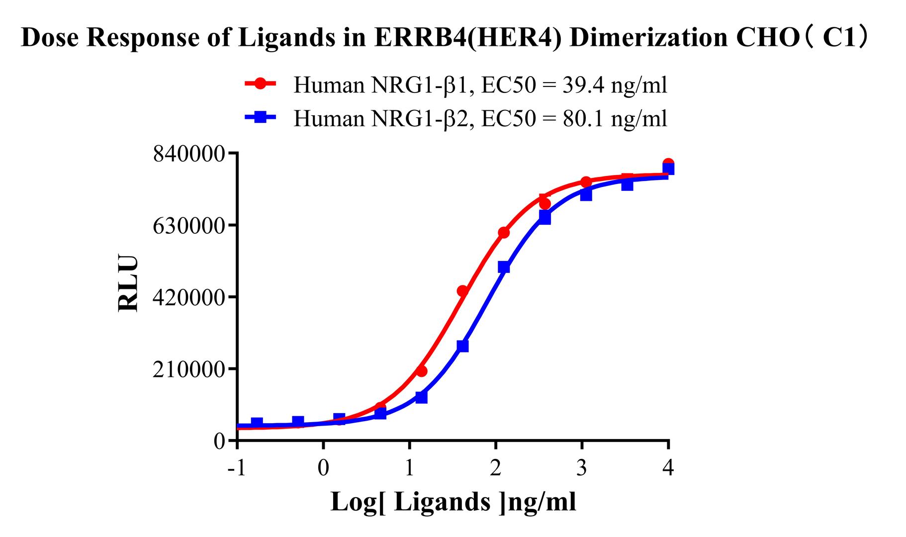 CHO-K1 Human ERBB4 Dimerization Cell