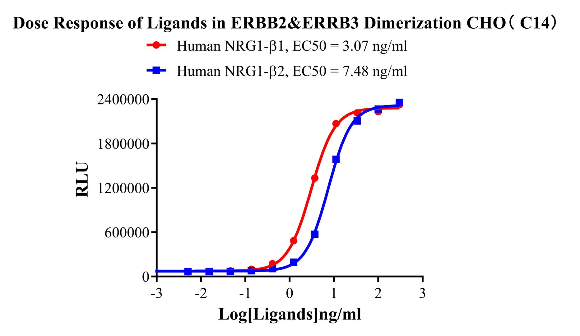 CHO-K1 Human ERBB2&ERBB3 Dimerization Cell