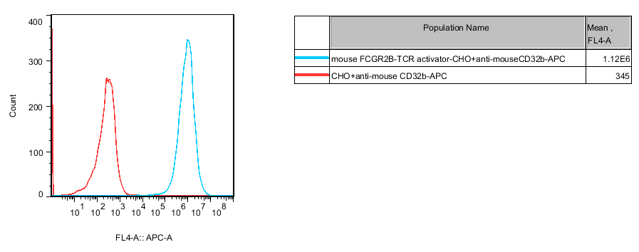 CHO-K1 Mouse FCGR2B/TCR Activator Cell