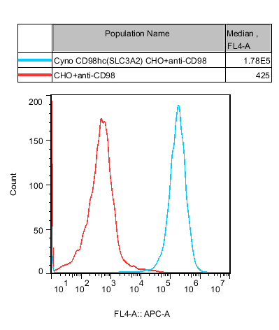 CHO-K1 Cyno CD98hc(SLC3A2) Cell