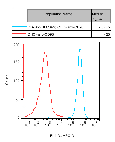 CHO-K1 Human CD98hc(SLC3A2) Cell