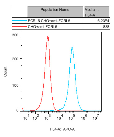 CHO-K1 Human FCRL5 Cell