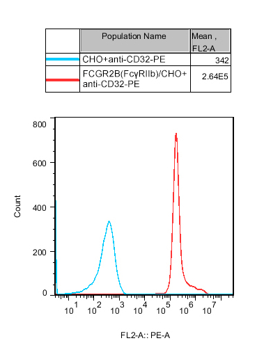 CHO-K1 Human FCGR2B（FcγRIIb）Cell