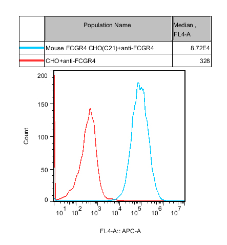 CHO-K1 Mouse FCGR4 Cell 