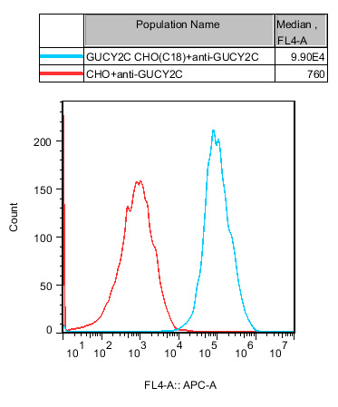 CHO-K1 Human GUCY2C Cell